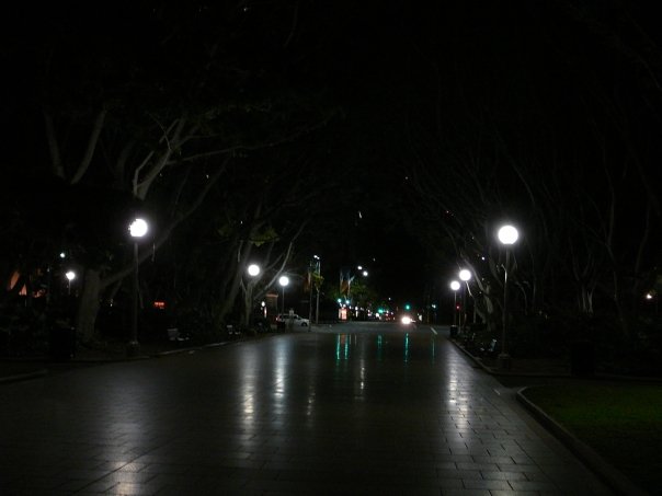 1930399_532319067386_1119_n