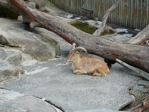 1930399_532319182156_8236_n