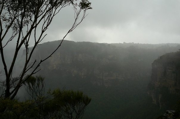 1930399_532319242036_2213_n