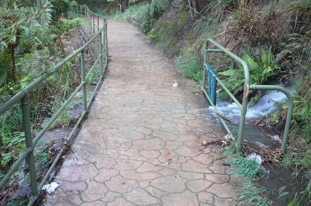 1930399_532319252016_2873_n