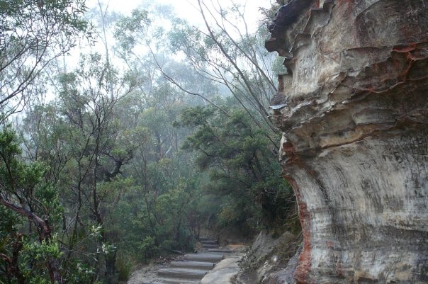 1930399_532319257006_3224_n