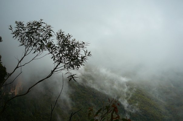 1930399_532319296926_5986_n